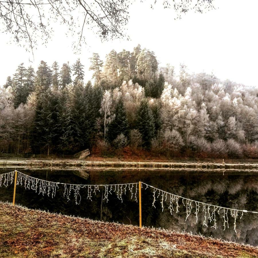 Au Coeur Des Sapins Apartamento Abreschviller Exterior foto